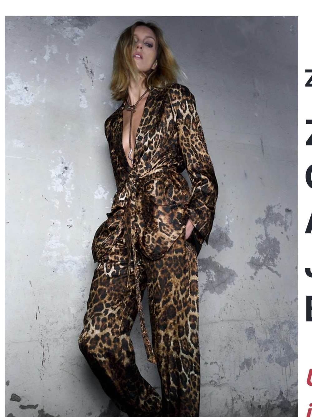 Zara Leopard-Print Pantsuit Brown & Black. Blazer size XS( oversized) pants M